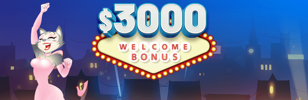 Coolcat Casino banner